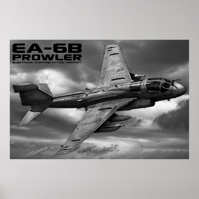 EA-6B Prowler Poster (Front)