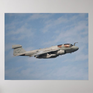 EA-6B Prowler Poster