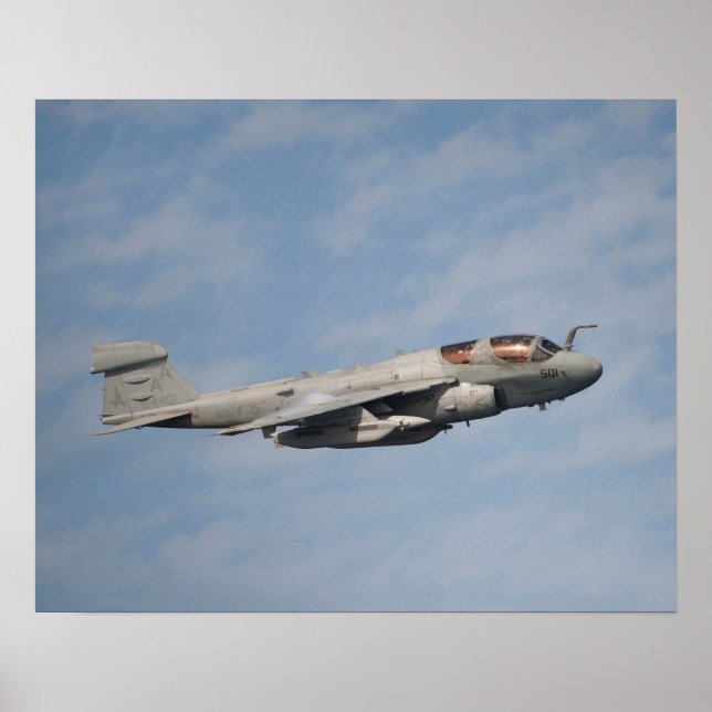 EA-6B Prowler Poster (Front)