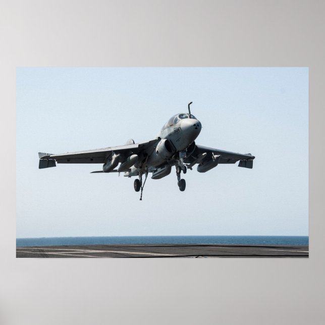 EA-6B Prowler Poster (Front)