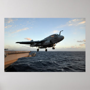 EA-6B Prowler Poster