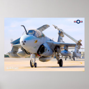 EA-6B PROWLER POSTER