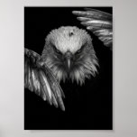 eagel poster<br><div class="desc">"Entrez dans le monde enchanteur de notre affiche de production, où la nature se dévoile et la beauté de la nature se déroule sous vos yeux. À chaque regard, plongez-vous dans une tapisserie de couleurs et de textures, où les créatures majestueuses règnent en maîtres. De l'allure gracieuse du guépard à...</div>