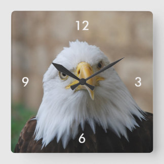 Eagle_2015_0201 Square Wall Clock