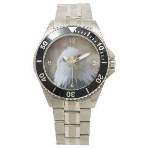 Eagle_2015_0201 Watch