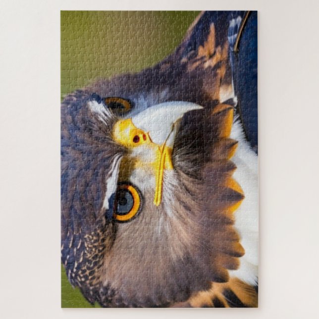 Eagle 2 jigsaw puzzle (Vertical)