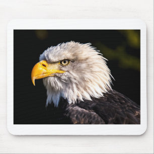 Eagle 2 mouse mat
