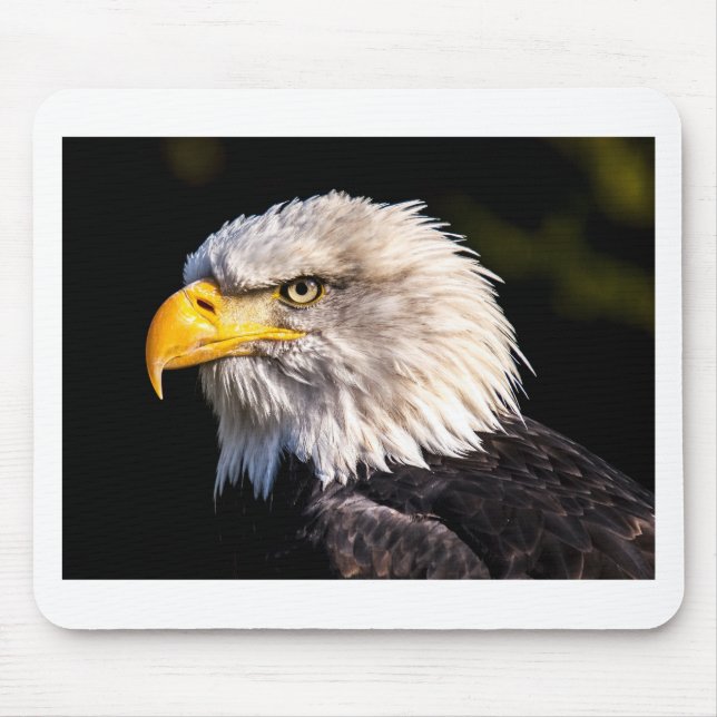 Eagle 2 mouse mat (Front)