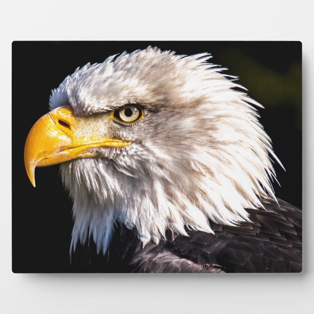 Eagle 2 plaque (Front)