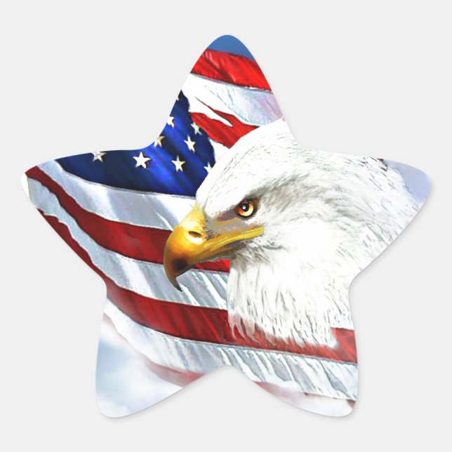 Eagle and American Flag Star Sticker (Front)
