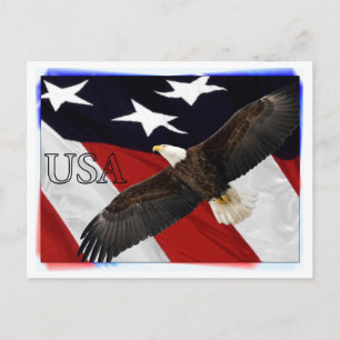Eagle and American Flag USA Postcard
