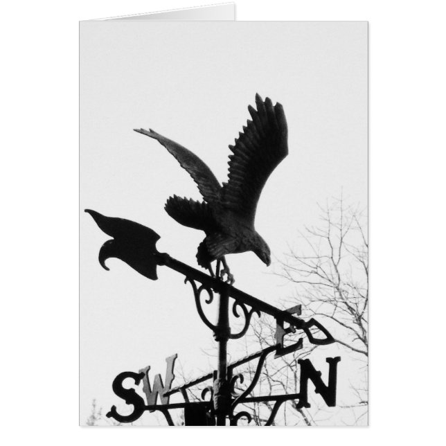 Eagle and Arrow (Front)