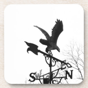 Eagle and Arrow Coaster