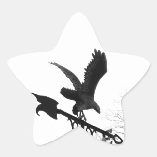 Eagle and Arrow Star Sticker