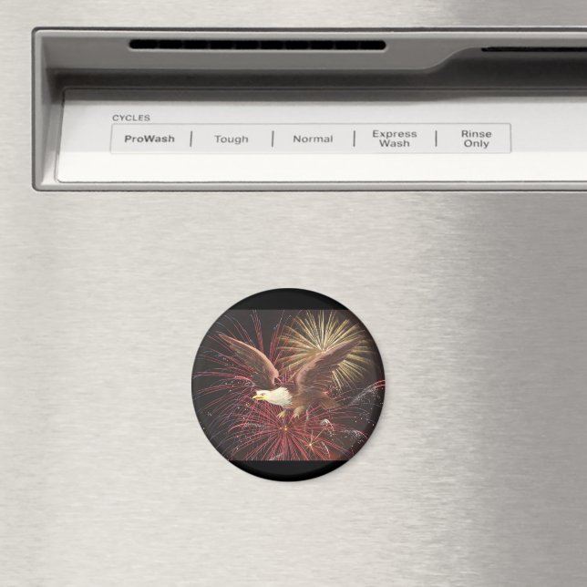 Eagle and Fireworks Magnet (In Situ (Dishwasher))