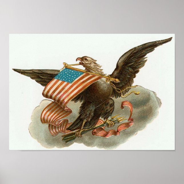Eagle and Flag Poster (Front)