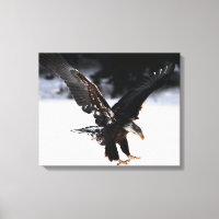 Eagle and Ice