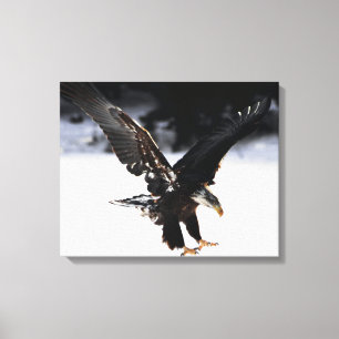 Eagle and Ice Canvas Print