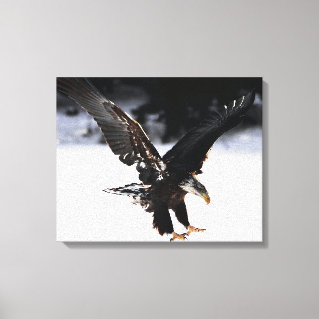 Eagle and Ice Canvas Print (Front)