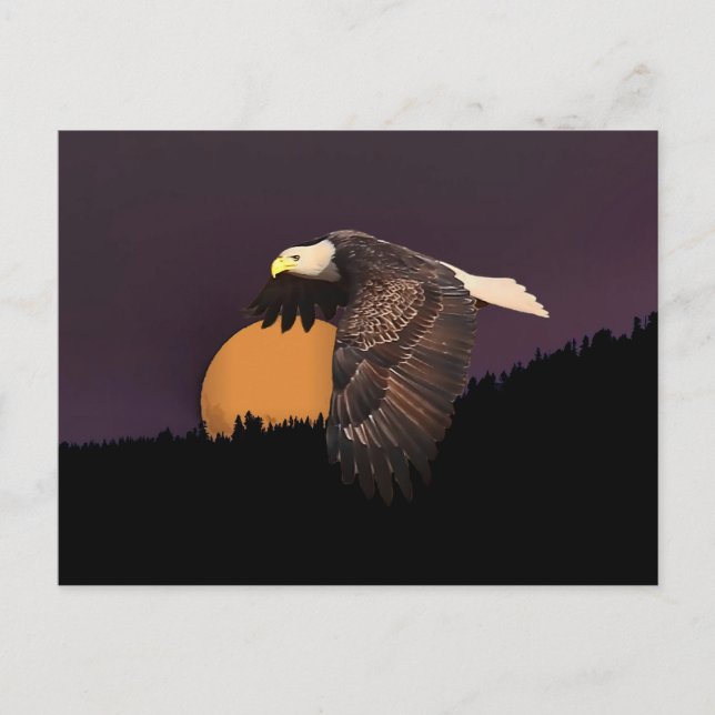 EAGLE AND MOON POSTCARD (Front)