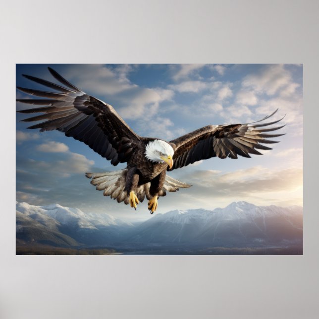 Eagle Animal Bird Majestic Wilderness  Poster (Front)