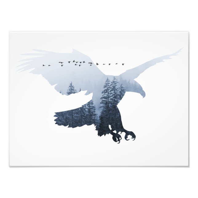 Eagle Animal Forest Wild Nature World Earth Free Photo Print (Front)