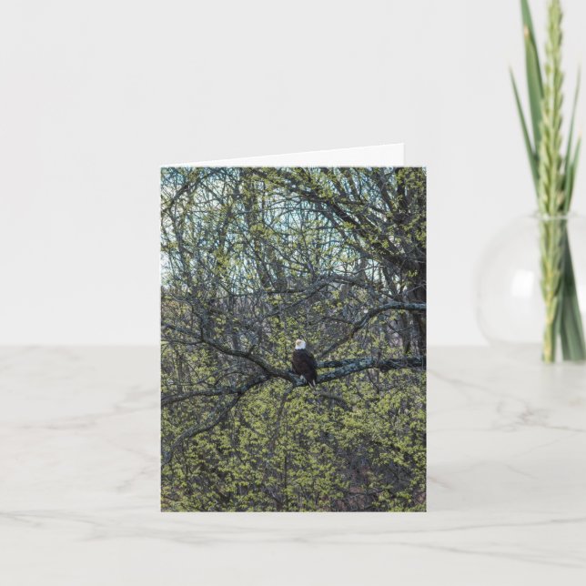 Eagle Awareness Card (Front)