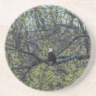 Eagle Awareness Coaster