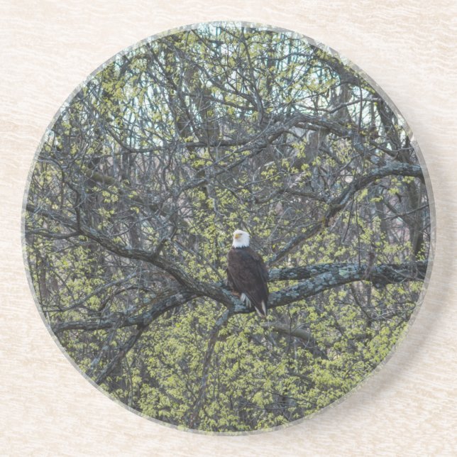 Eagle Awareness Coaster (Front)