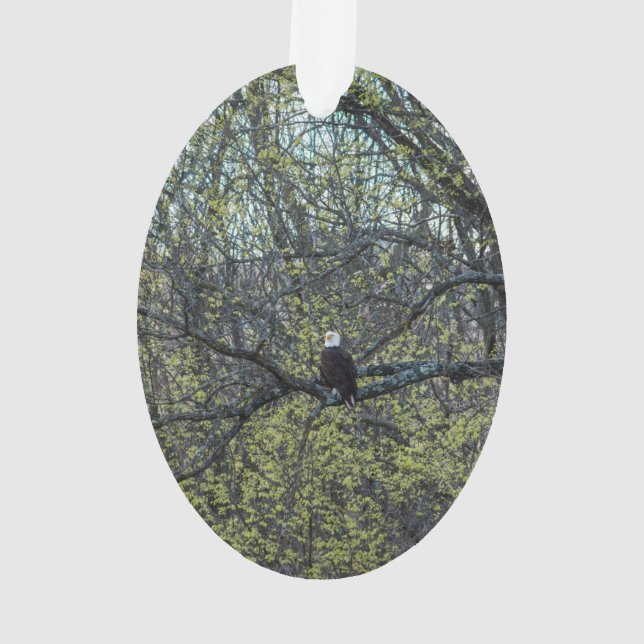Eagle Awareness Ornament (Back)