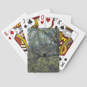 Eagle Awareness Playing Cards