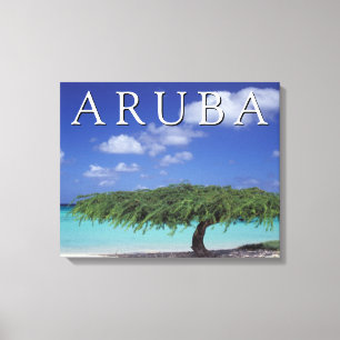 Eagle Beach Caribbean, Aruba Canvas Print
