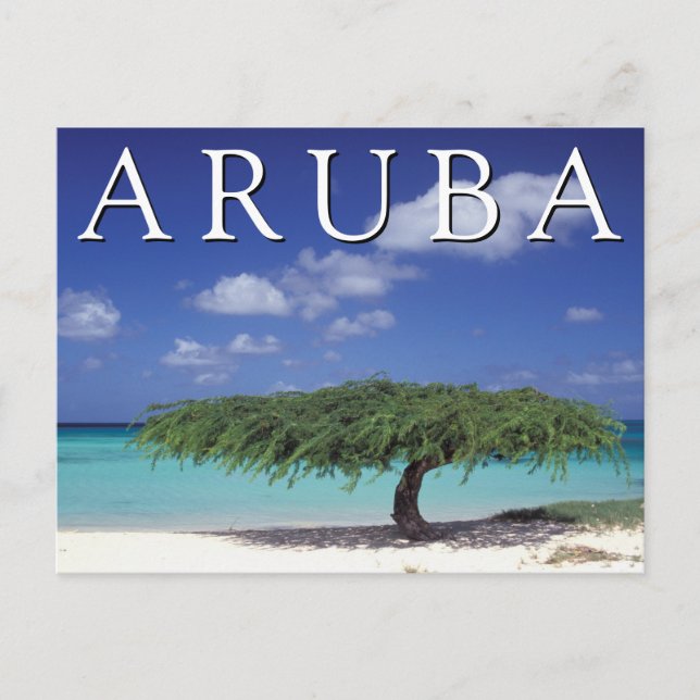 Eagle Beach | Caribbean, Aruba Postcard (Front)