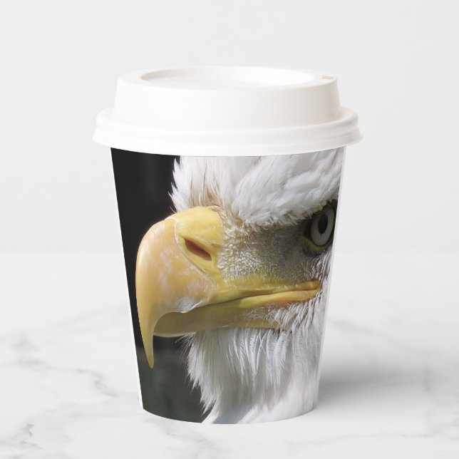 EAGLE BIRD OF PREY PAPER CUPS (Front)