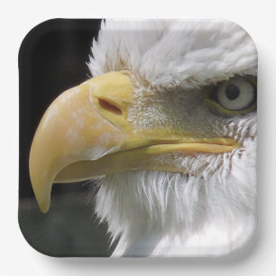 EAGLE BIRD OF PREY PAPER PLATE
