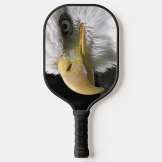 EAGLE BIRD OF PREY  PICKLEBALL PADDLE