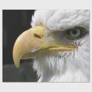 EAGLE BIRD OF PREY  WRAPPING PAPER