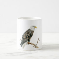 Eagle Bird on Branch