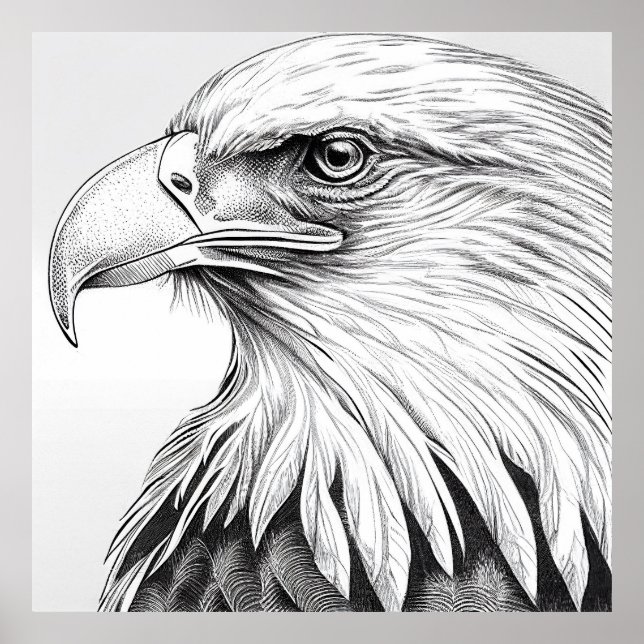 Eagle Bird Wild Nature Animal Illustration Art  Poster (Front)