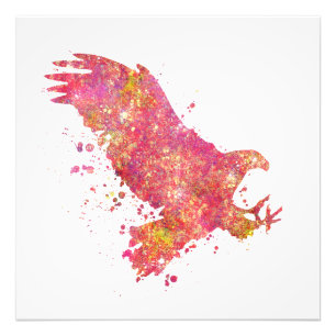 Eagle Birds Wild Forest Nature World Earth Flight Photo Print