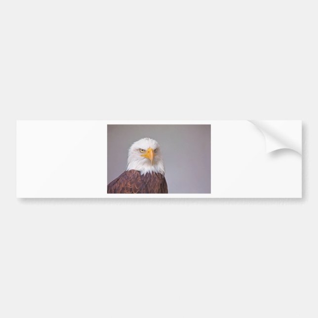 Eagle Bumper Sticker (Front)