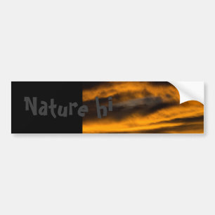eagle burnout bumper sticker