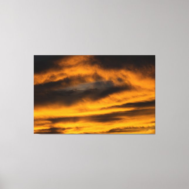 eagle burnout canvas print (Front)