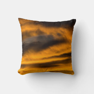 eagle burnout cushion
