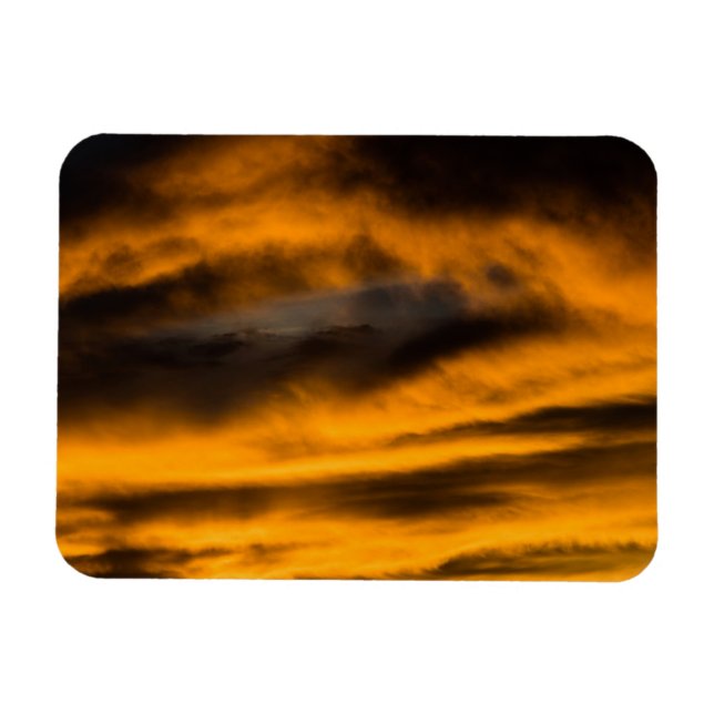 eagle burnout magnet (Horizontal)