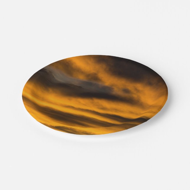 eagle burnout paper plate (Angled)