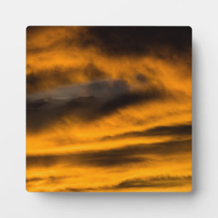 eagle burnout plaque