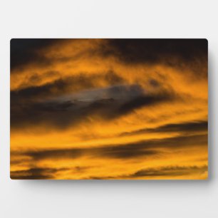 eagle burnout plaque