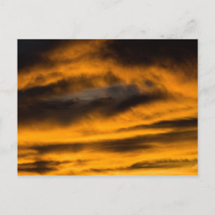 eagle burnout postcard