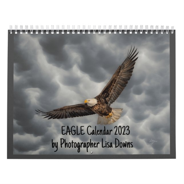 Eagle Calendar 2023 -CN (Cover)